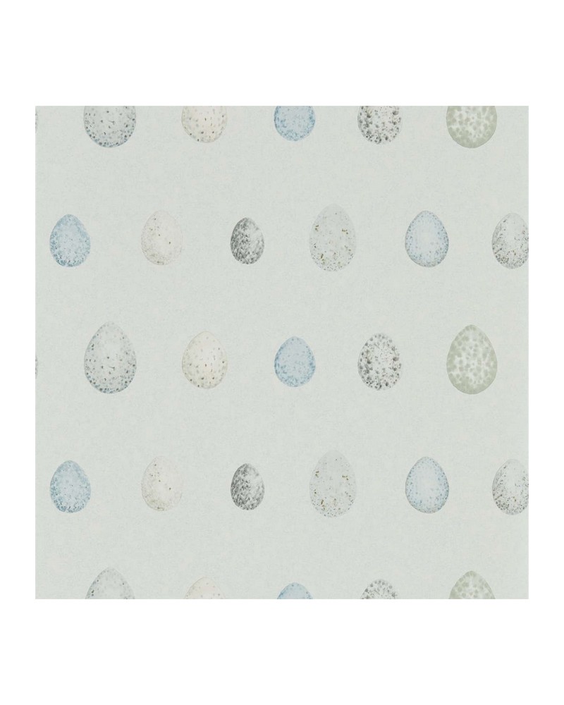 Papel de parede NEST EGG DEBB216504 - Sanderson