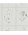 Papier peint LITTLE THISTLES DEBB216512 - Sanderson