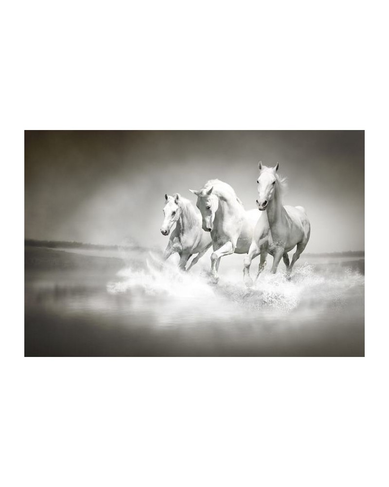 Papel Pintado R10201 Horses - REBEL WALLS