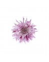 Wallpaper R10611 Flower - REBEL WALLS