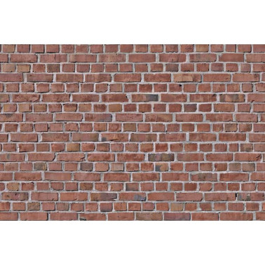 Papel de parede R10961 Brick Wall, red - REBEL WALLS