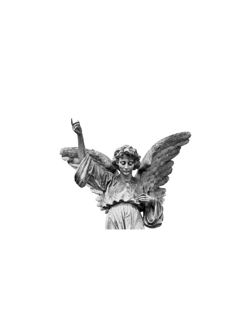 Wallpaper R11731 Angel - REBEL WALLS