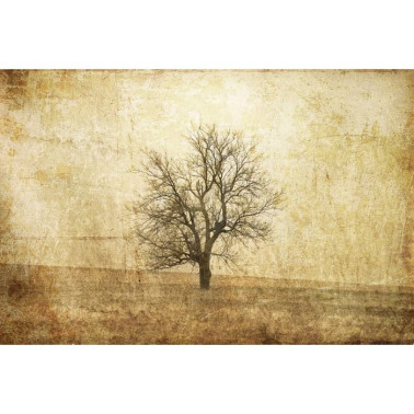 Papel de parede R12081 The Lonely Tree - REBEL WALLS