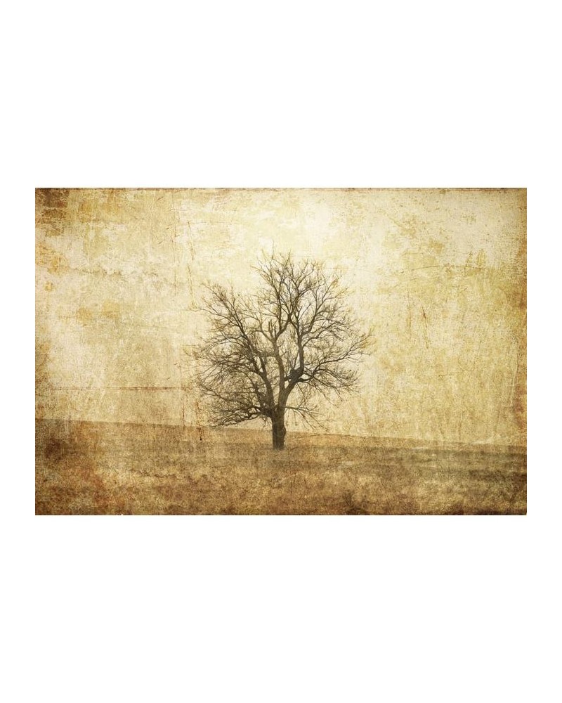 Papel Pintado R12081 The Lonely Tree - REBEL WALLS