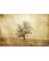 Papier peint R12081 The Lonely Tree - REBEL WALLS