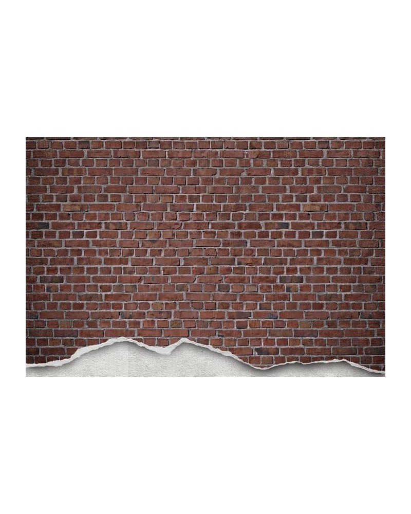 Carta da Parati R12221 Well-Worn Brick Wall, red - REBEL WALLS