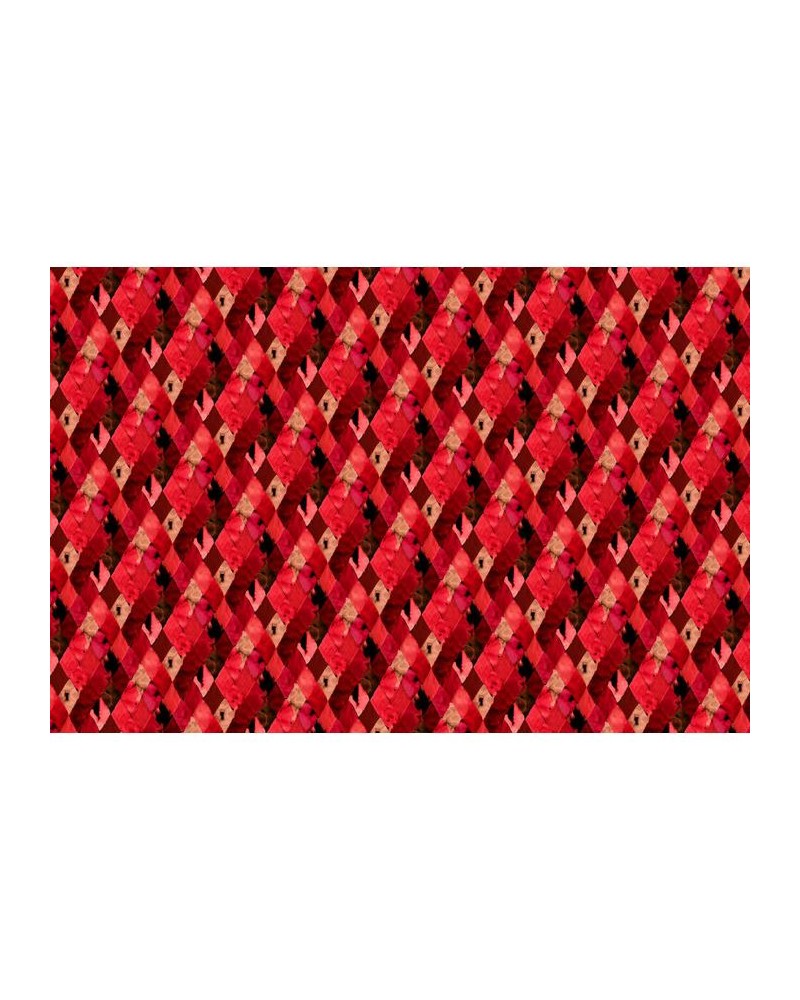 Papel Pintado R12231 Harlequin, red - REBEL WALLS