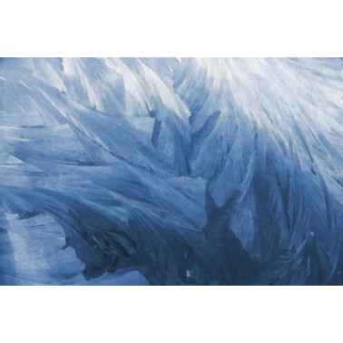 Tapete R12281 Feathers - REBEL WALLS