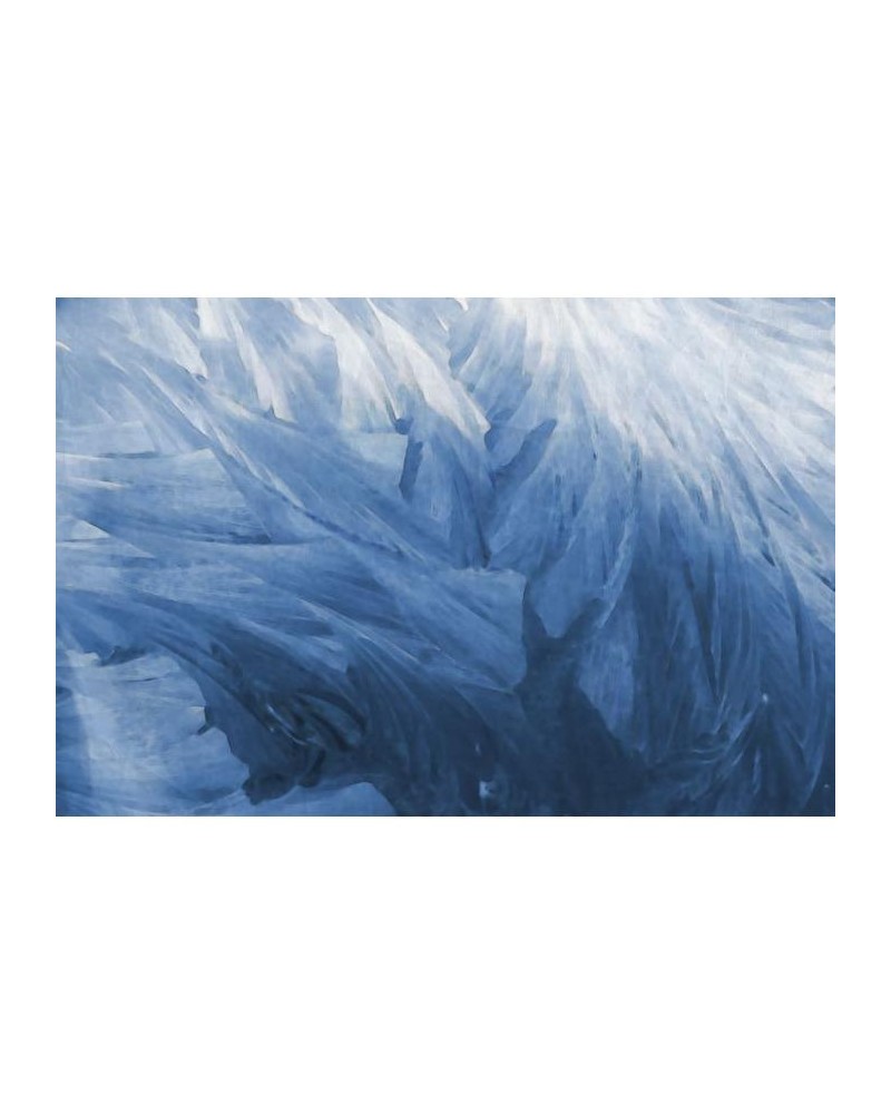 Papier peint R12281 Feathers - REBEL WALLS