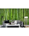 Papel Pintado R11821 Bamboo - REBEL WALLS