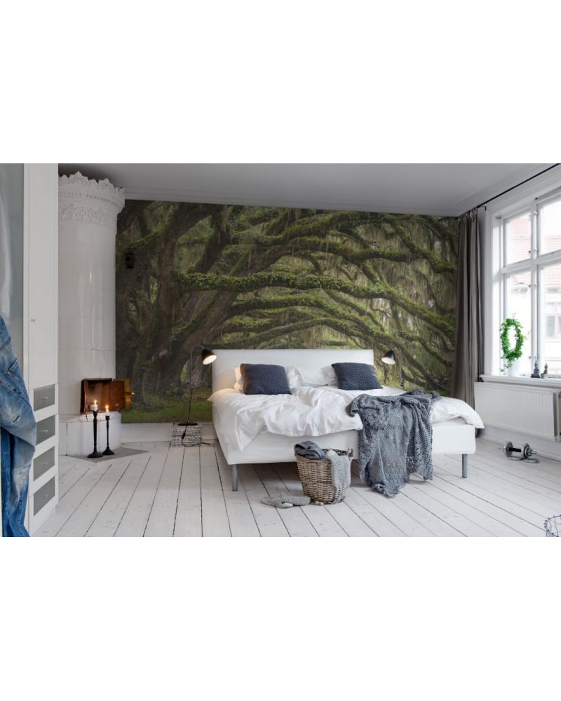 Papel Pintado R12481 Fairy Forest - REBEL WALLS