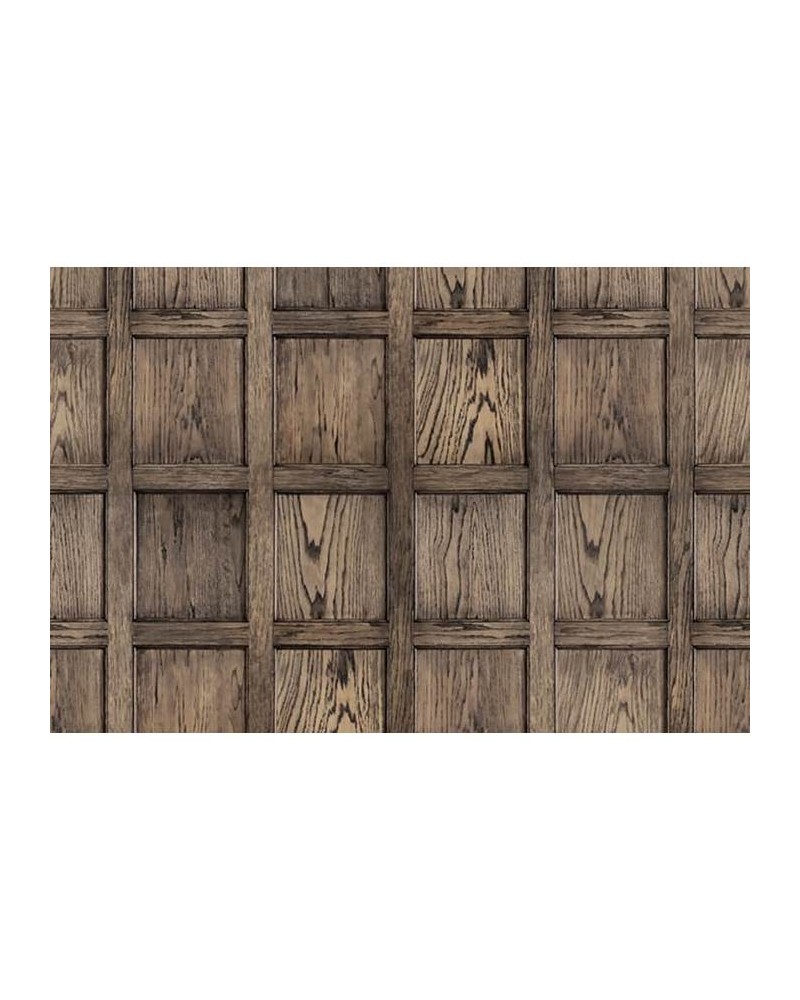 Carta da Parati R12881 Panel - REBEL WALLS