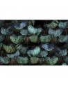 Carta da Parati R15091 Peacock Plumage - REBEL WALLS