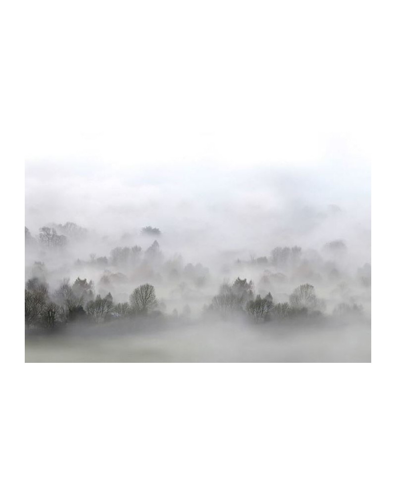 Papel de parede R15301 Morning Fog - REBEL WALLS