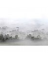 Papel de parede R15301 Morning Fog - REBEL WALLS