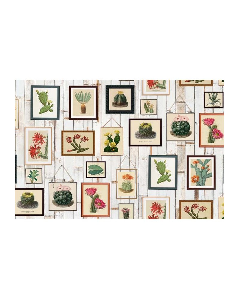 Papel de parede R15321 Cactus Wall Art - REBEL WALLS