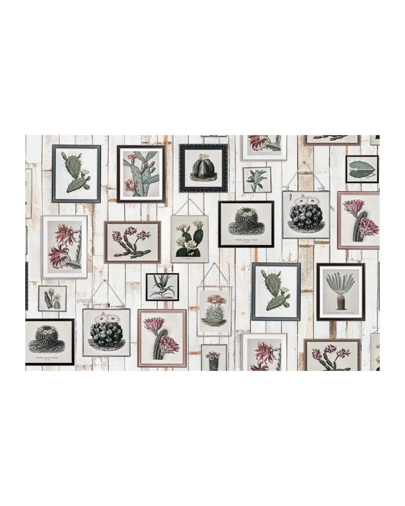 Papel de parede R15322 Cactus Wall Art, Faded - REBEL WALLS