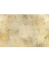 Carta da Parati R13273 Color Clouds, Gold - REBEL WALLS