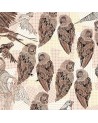 Papel Pintado PENCIL BIRDS WDPB1602 - WALL AND DECO