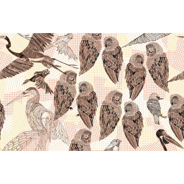 PENCIL BIRDS WDPB1602