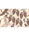 Papel Pintado PENCIL BIRDS WDPB1602 - WALL AND DECO