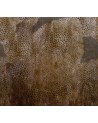 Wallpaper CHEETAH WDCH1703 - WALL AND DECO