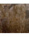 Wallpaper CHEETAH WDCH1703 - WALL AND DECO