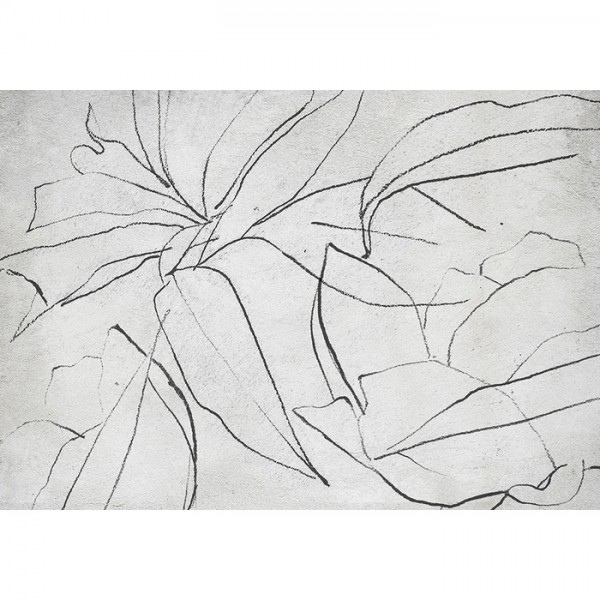 Papier peint 6800406 ABSTRACT FLORA - COORDONNE