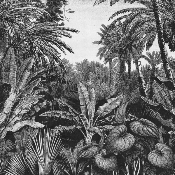 Carta da Parati TROPICAL MORNINGS 17016-04 - LONDON ART