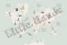 Papel Pintado Animals World Map IV - LITTLE HANDS