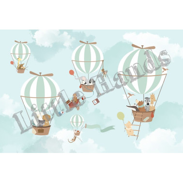 Ballon Ride V