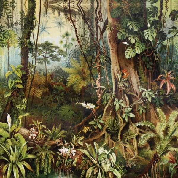 Papel Pintado AMAZZONIA INKBIUU16 - INKIOSTRO BIANCO