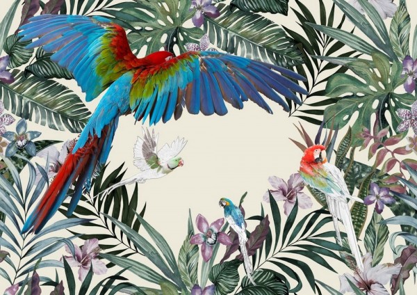 Wallpaper PARROTS INKDNJD16 - INKIOSTRO BIANCO