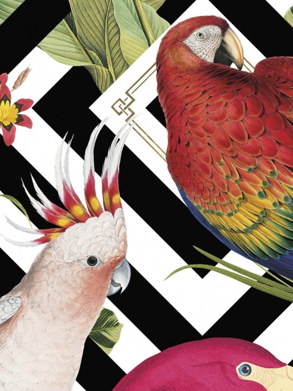 Papel Pintado Geometric Aviary DVS004 - DIVINE SAVAGES