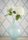 Wallpaper T4051 EASOM TRELLIS - THIBAUT