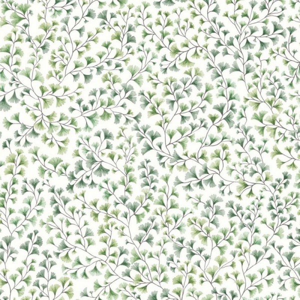 Papier peint Maidenhair 115-6018 - COLE and SON