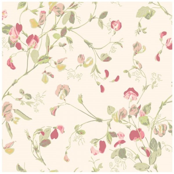 Papel de parede Sweet Pea 100-6028 - COLE and SON