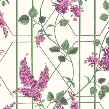 Wallpaper Wisteria 115-5013 - COLE and SON