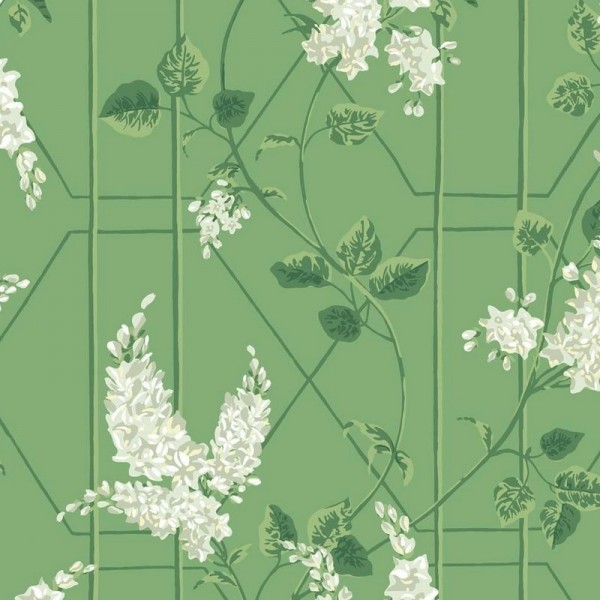 Papier peint Wisteria 115-5016 - COLE and SON