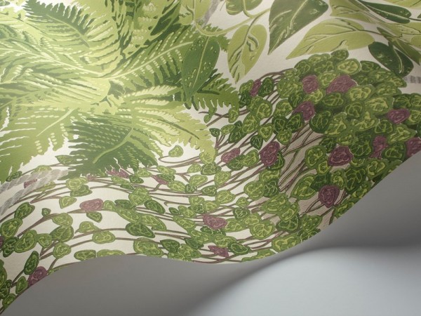 Wallpaper Fern 115-7021 - COLE and SON