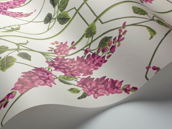 Papier peint Wisteria 115-5013 - COLE and SON