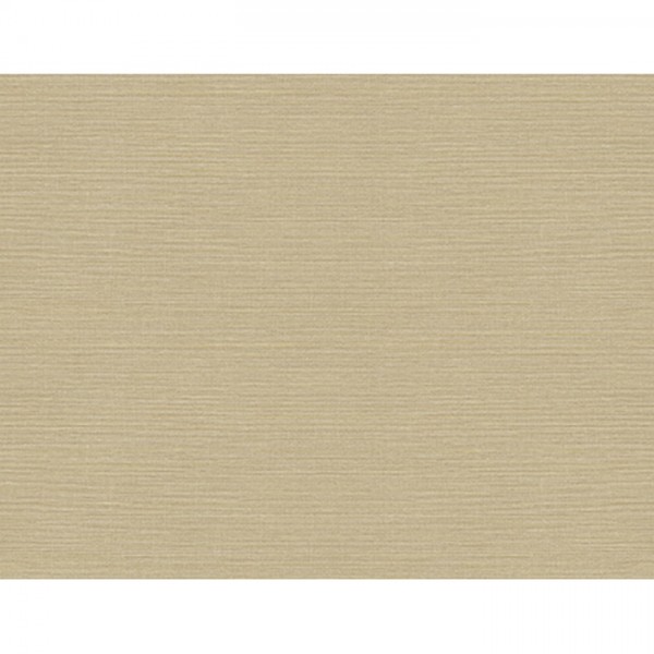 Carta da Parati BW41001 SISAL - WALLQUEST