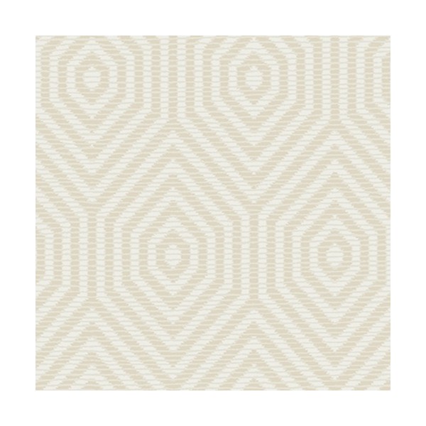 Papel Pintado TP80505 HEXAGON GEOMETRIC - WALLQUEST