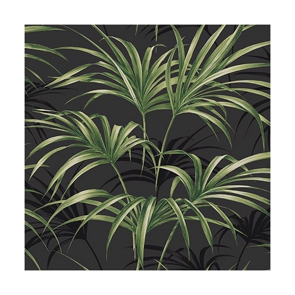 Carta da Parati TP80600 OPEN PALM LEAF - WALLQUEST