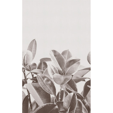 Wallpaper RUBBER PLANT 18056-2 - LONDON ART