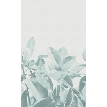 Wallpaper RUBBER PLANT 18056-3 - LONDON ART