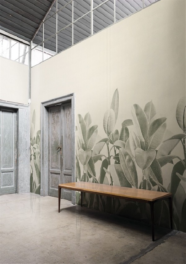 Wallpaper RUBBER PLANT 18056-3 - LONDON ART