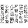 Papel Pintado R13171 FRUIT & FLORA - REBEL WALLS