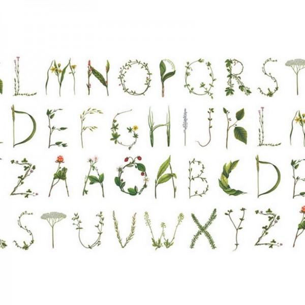 Papier peint R13195 FLORAL ALPHABET - REBEL WALLS