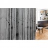 Tapete R16061 BIRCH ECHO - REBEL WALLS